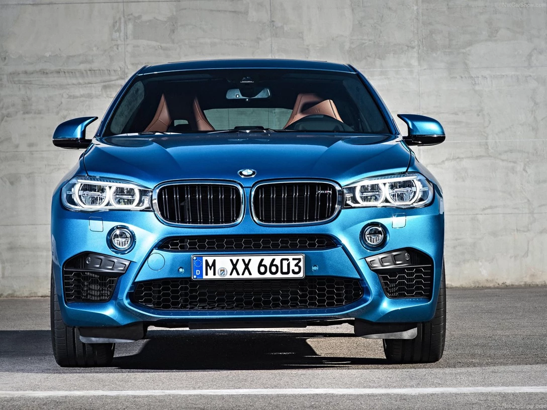 1588810-BMW-X6_M 5.jpg