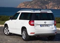 1667706-Skoda-Yeti-2015-03.jpg