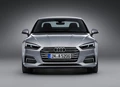1645877-Audi-A5_Coupe-2017-1600-8c.jpg