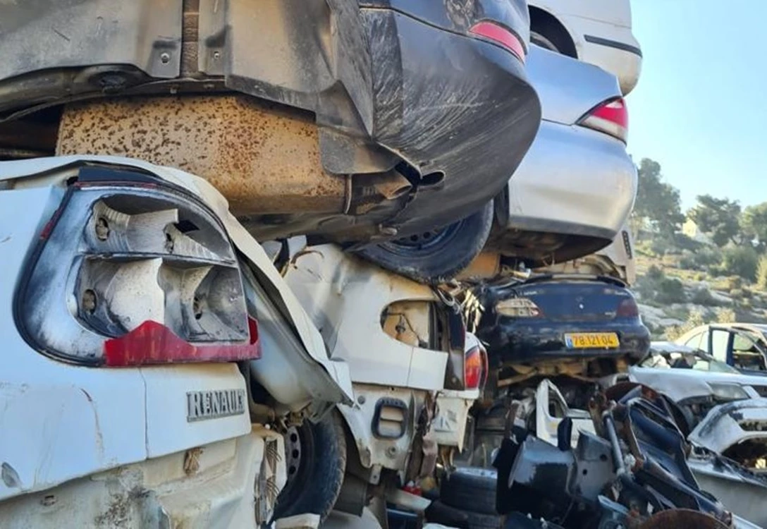 1691399-פוינטר סיכום.jpg