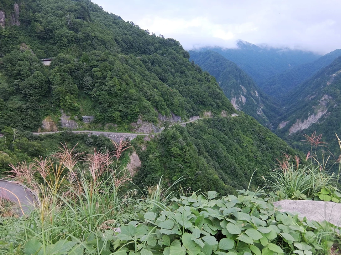 1706211-PRIUS HAKUSAN 3.JPG