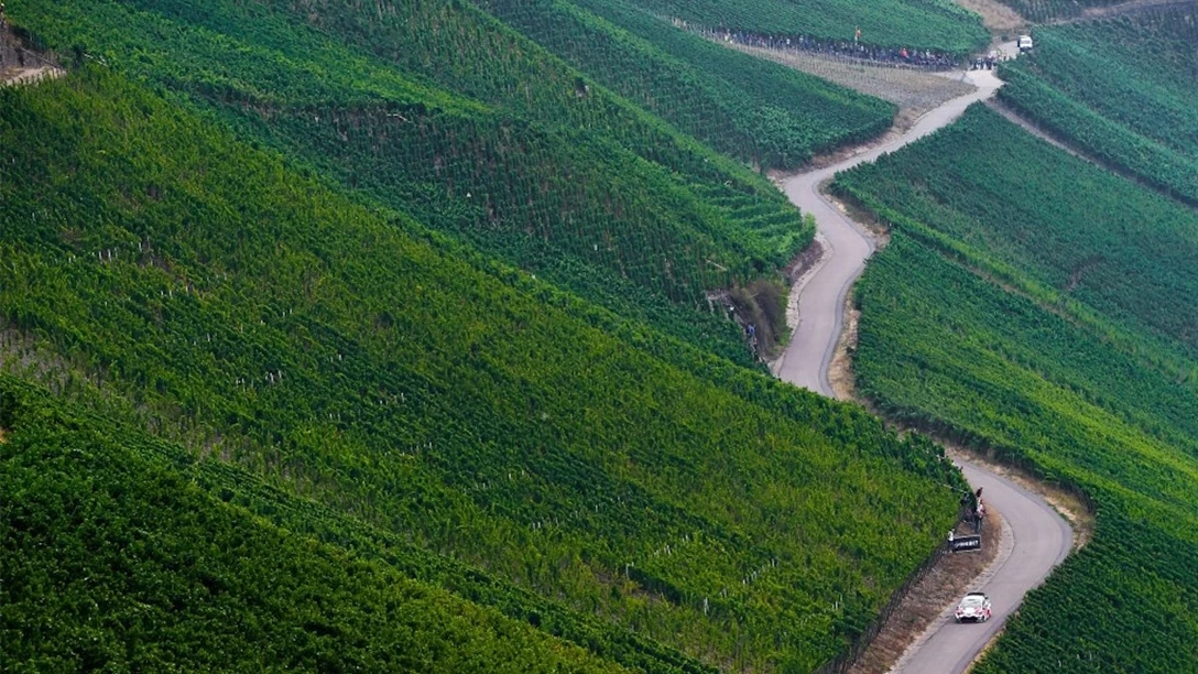 1601102-הגפנים והפיתולים של העמק.jpg