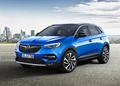 1638492-Opel-Grandland_X-2021-01.jpg