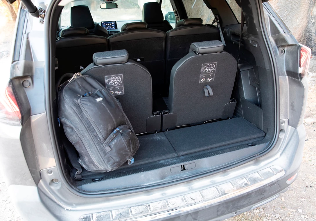 1654076-פיגו 50080J6A9156.jpg