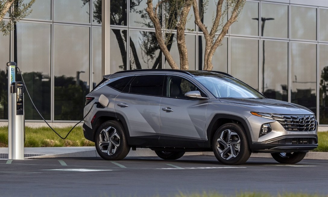 WhatsApp Image 2025-11-05 at 07.39.57 (1).jpeg