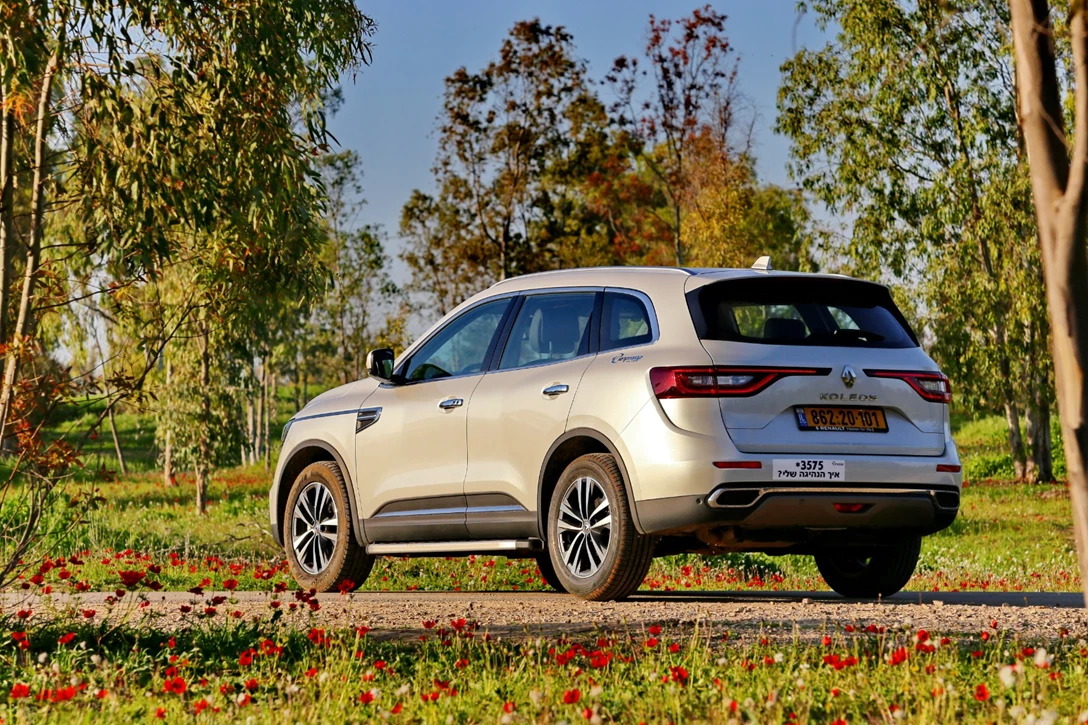 1631680-edit קוליאוס (23).JPG