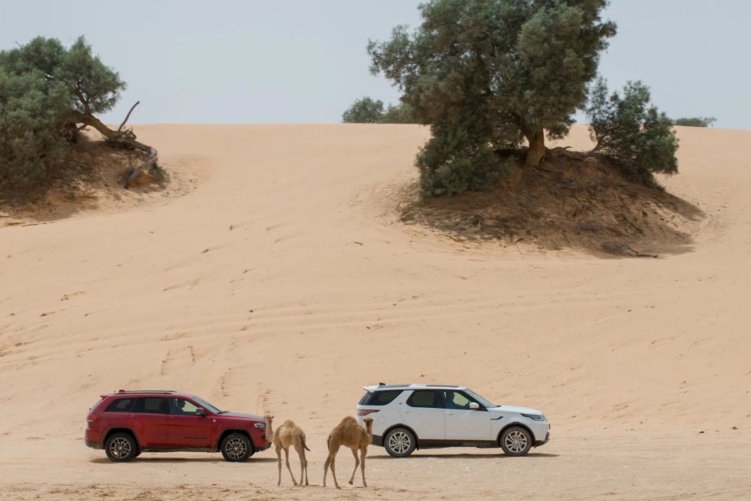 1604666-גרנד צירוקי מול דיסקו (4).jpg