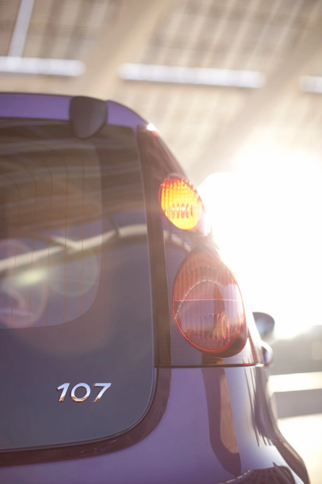 תיאור גלרייה