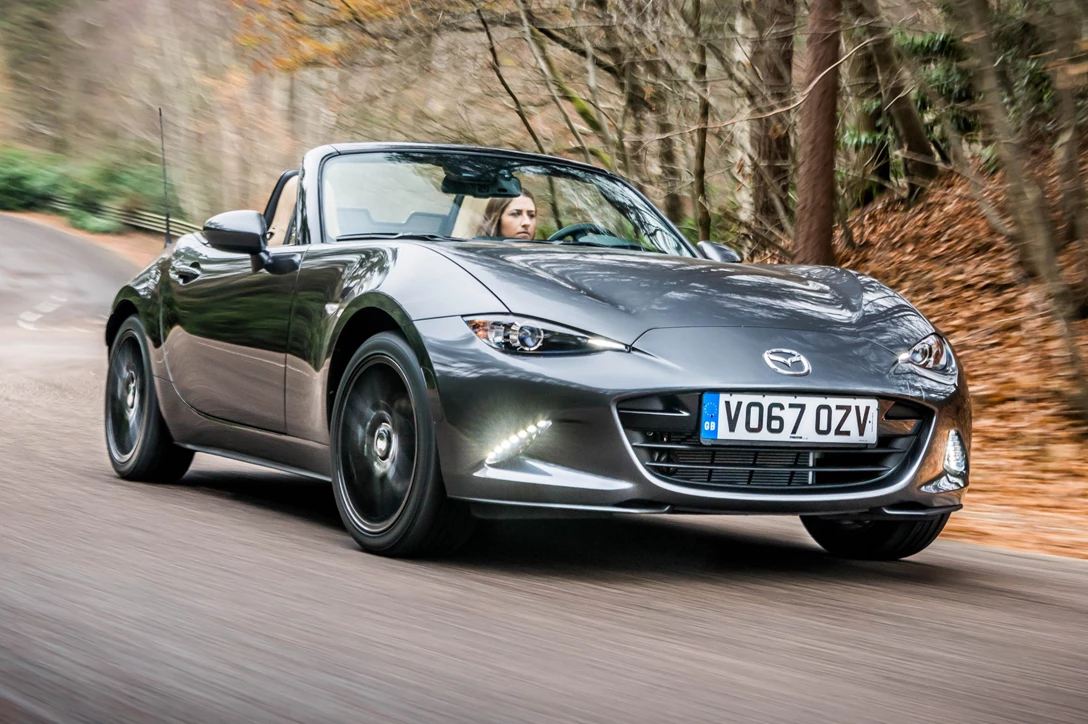 1594223-קבריולה במחיר  נגיש (9).jpg