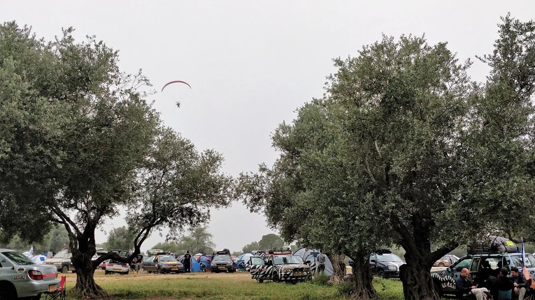 1594470-IMG_20180407_074259 (2).jpg