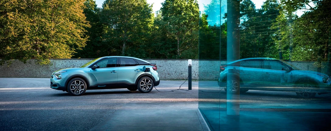 1633119-CL 20.019.004.jpg