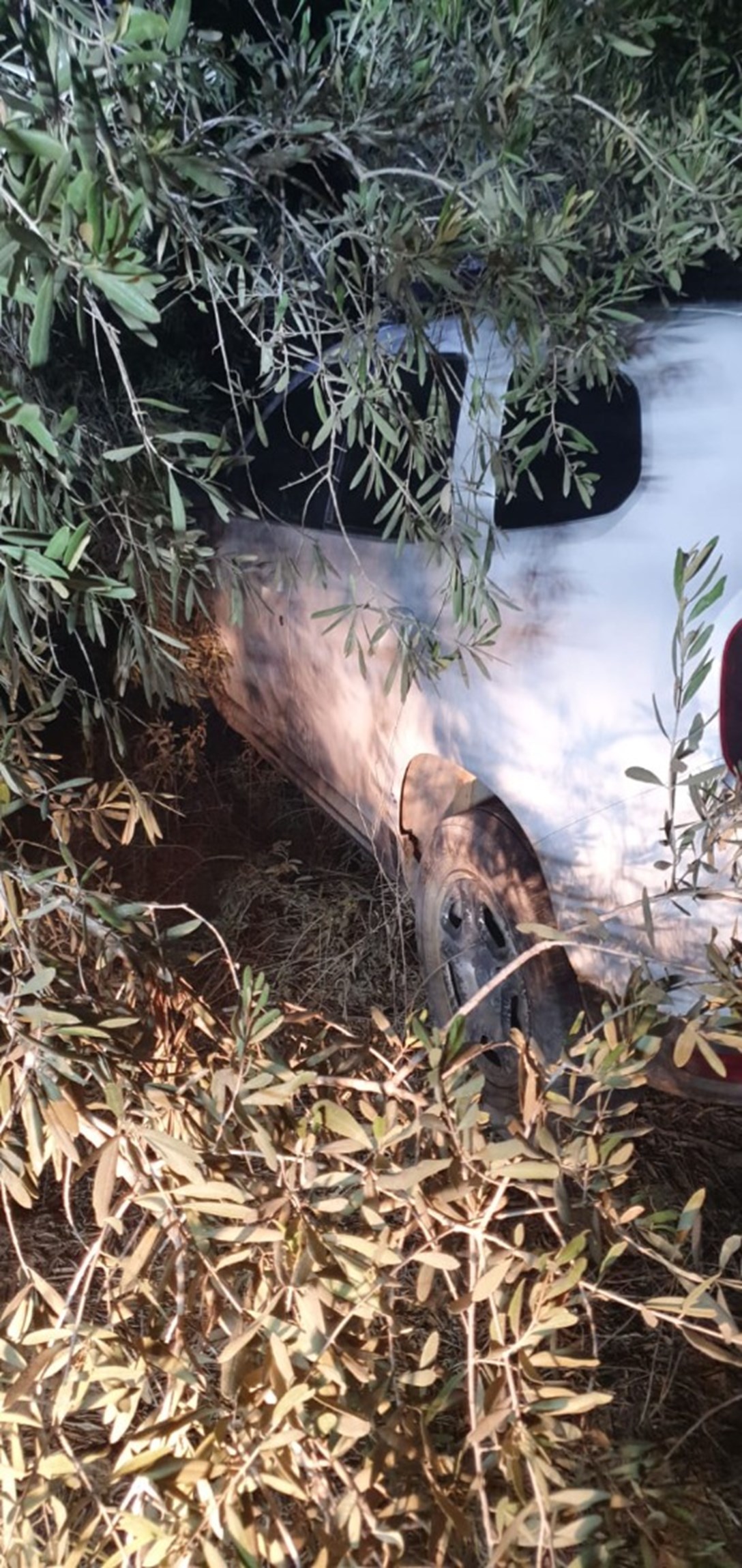 1651090-WhatsApp Image 2020-10-12 at 11.37.18 (1).jpeg