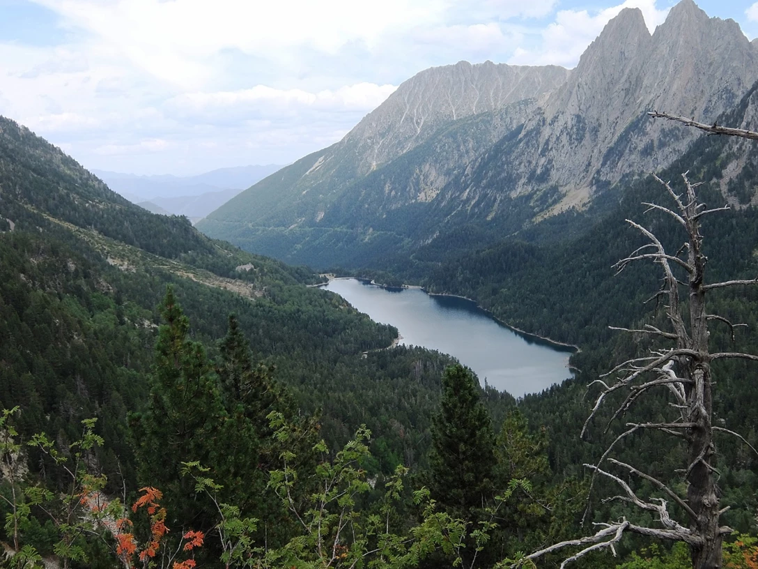 1691115-PIRINESE PIC CAM 12.JPG