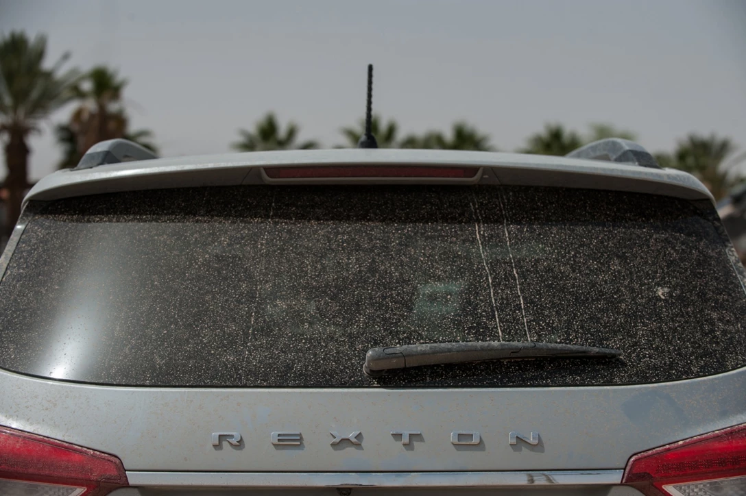 1601957-סאנגיונג רקסטון 2018 (4).jpg