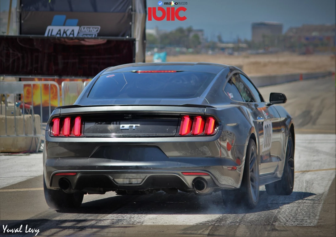 1644750-IMG_4629 (2).JPG