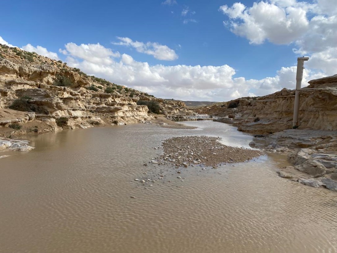 1680783-WhatsApp Image 2023-04-09 at 10.08.15 (1).jpeg