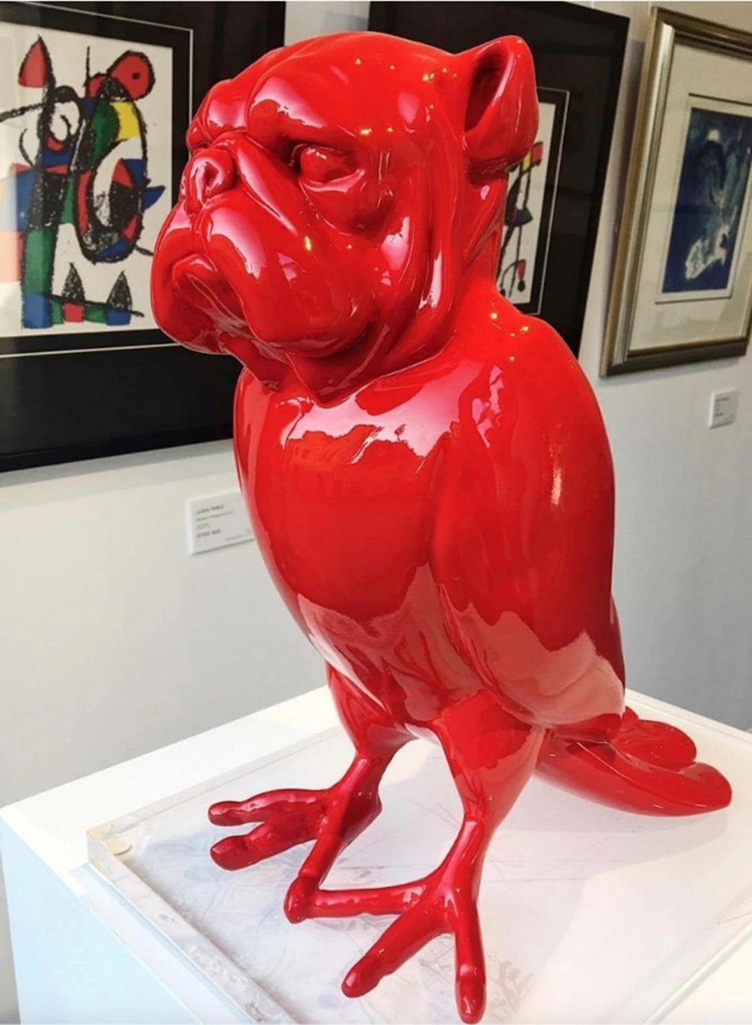 1651397-קנטרוביץ שוף דוג.jpg