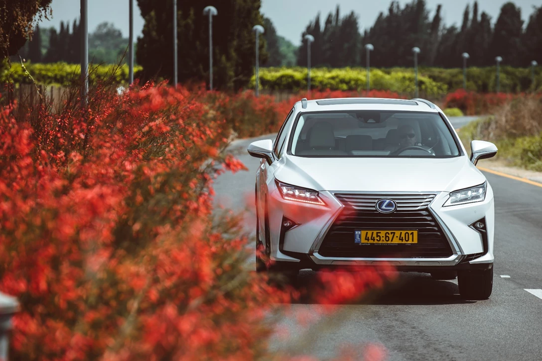 1597520-לקסוס RX L מבחן דרכים (5).jpg