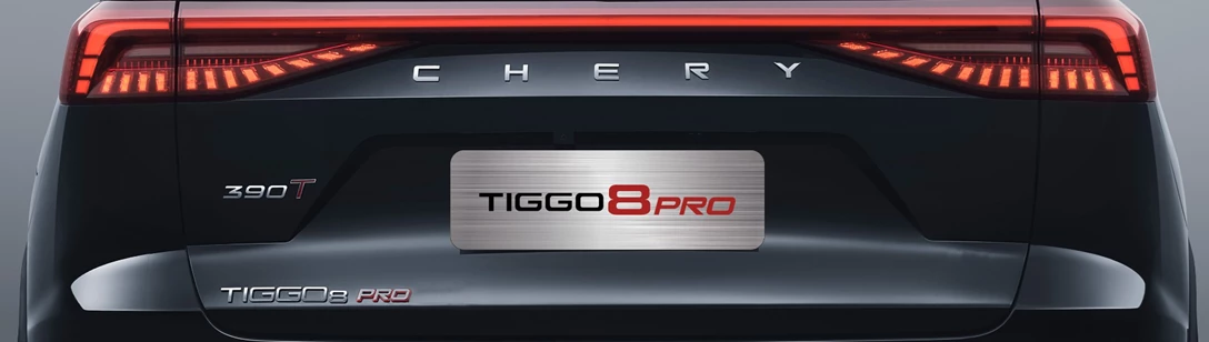 1700368-Through-type taillights.jpg