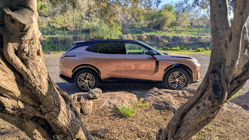 לינק אנד קו 08 פרופיל