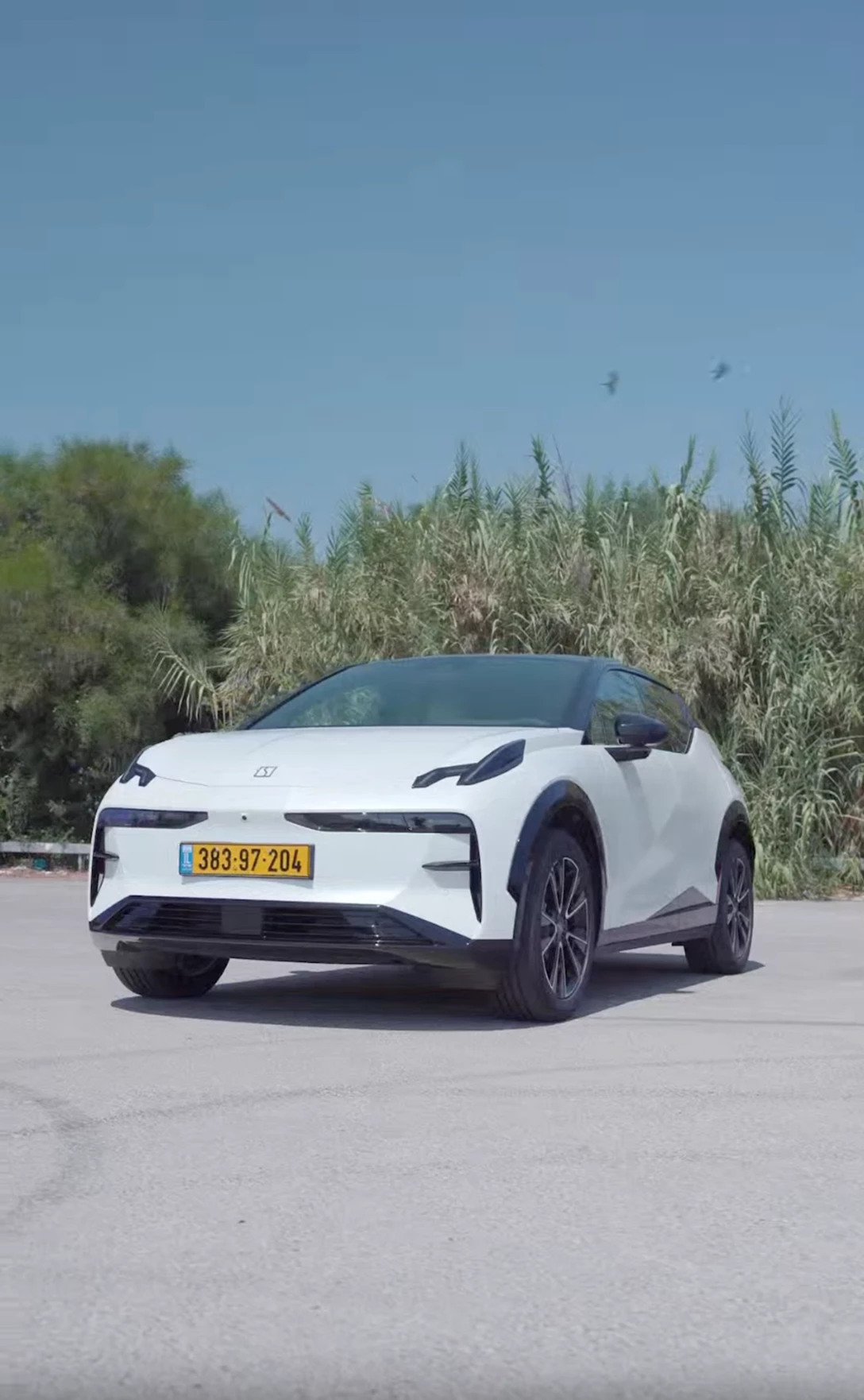 צילום מסך 2025-08-18 ב-8.52.38.png