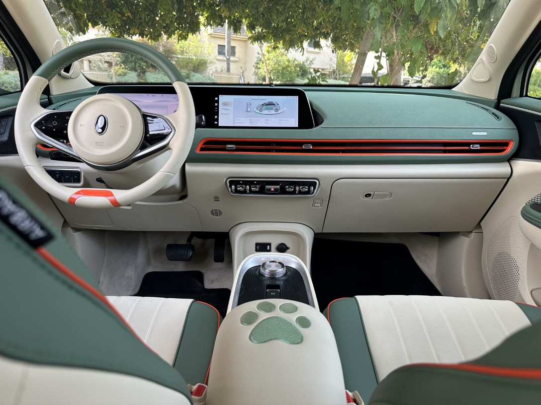 1681493-ORA300PRO1 - 16-min.jpeg