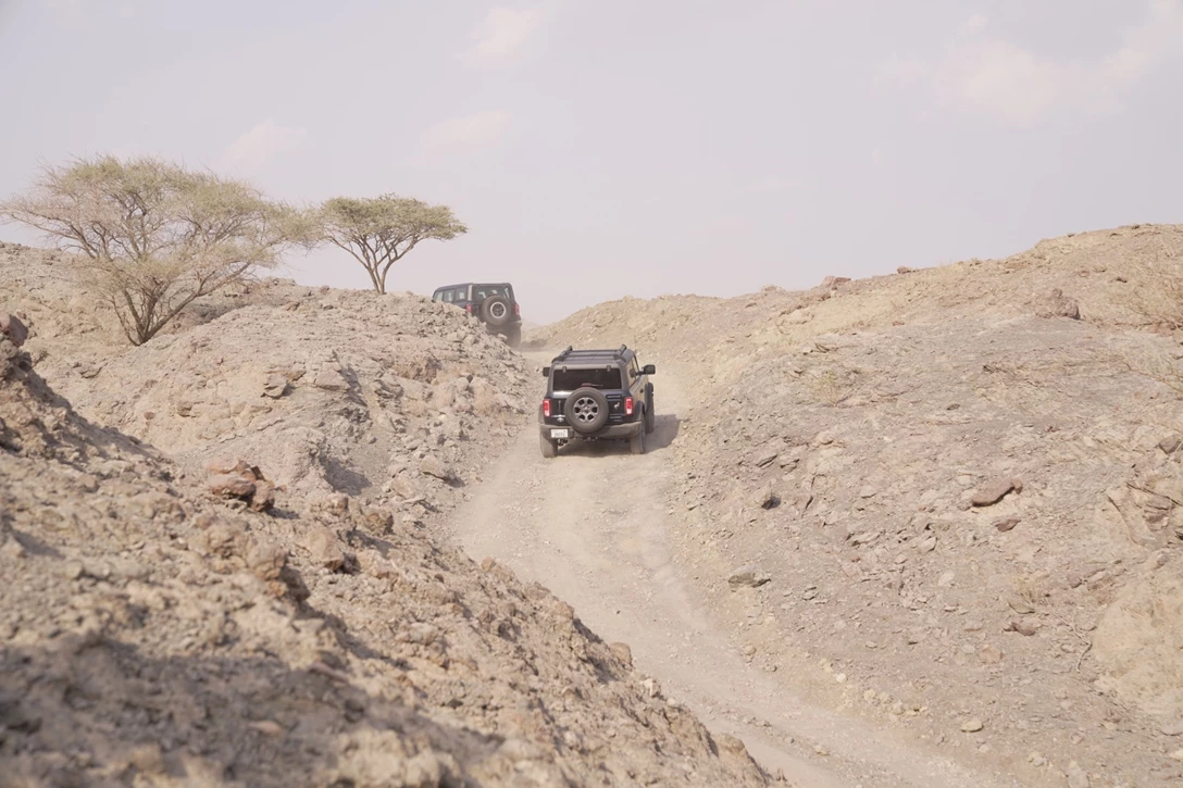 1652601-שביל (2).JPG