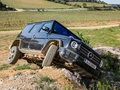 1664148-Mercedes-Benz-G-Class-2021-02.jpg
