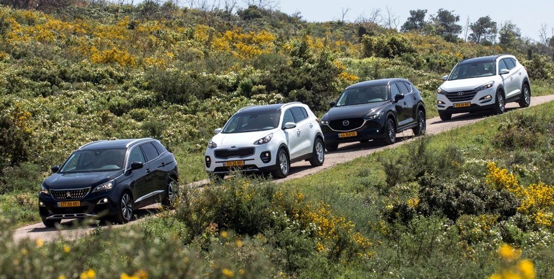 1633999-by Benny Doutsh-15.jpg