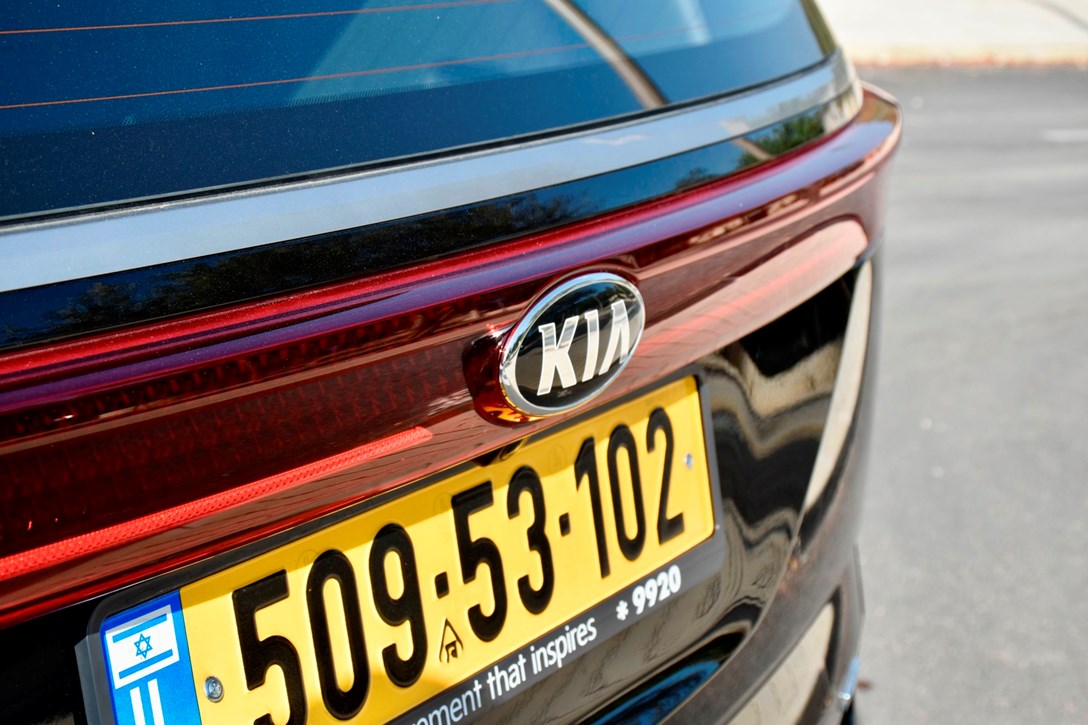 1652561-CARNIVALV6 - 1.jpeg