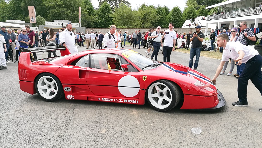 1598528-must (13).png