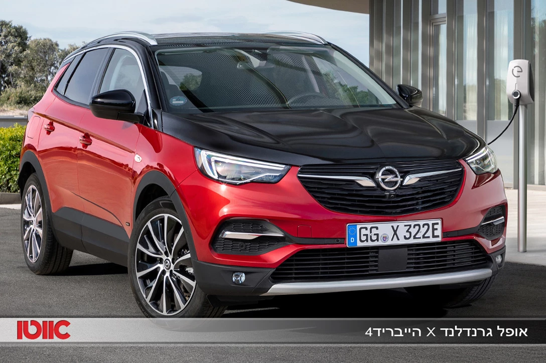 1623056-אופל גרנדלנד X הייבריד4.jpg