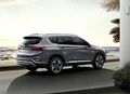 1642832-Hyundai-Santa_Fe-2019-05.jpg
