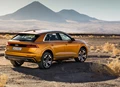 1662199-Audi-Q8-2021-02.jpg