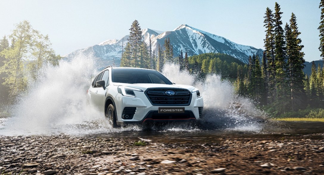 1657396-פורסטר - 4.jpeg