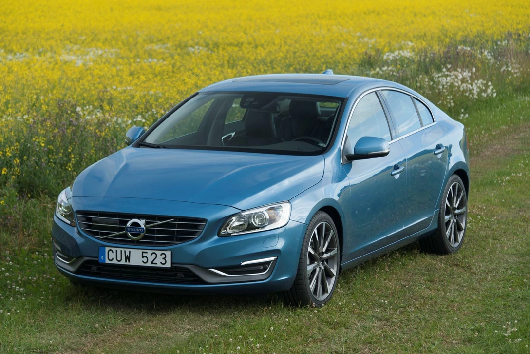 1600501-משפחתיות גדולות (33) .jpg