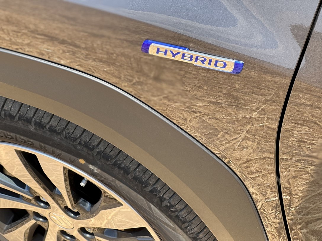 1662588-S CROSS - 77-min.jpeg