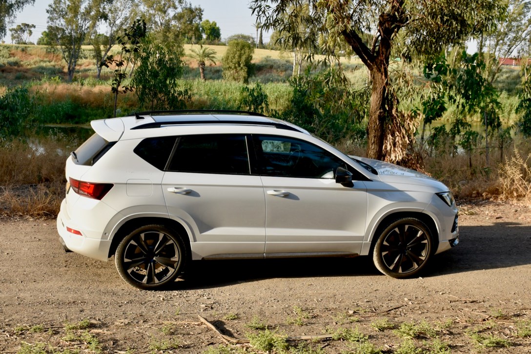 1646275-קופרה אקטה מבחן דרכים - 5.jpeg