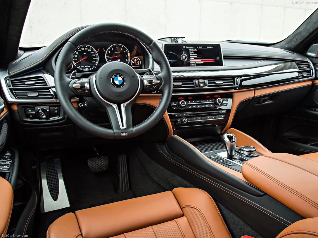 1588811-BMW-X6_M 6.jpg