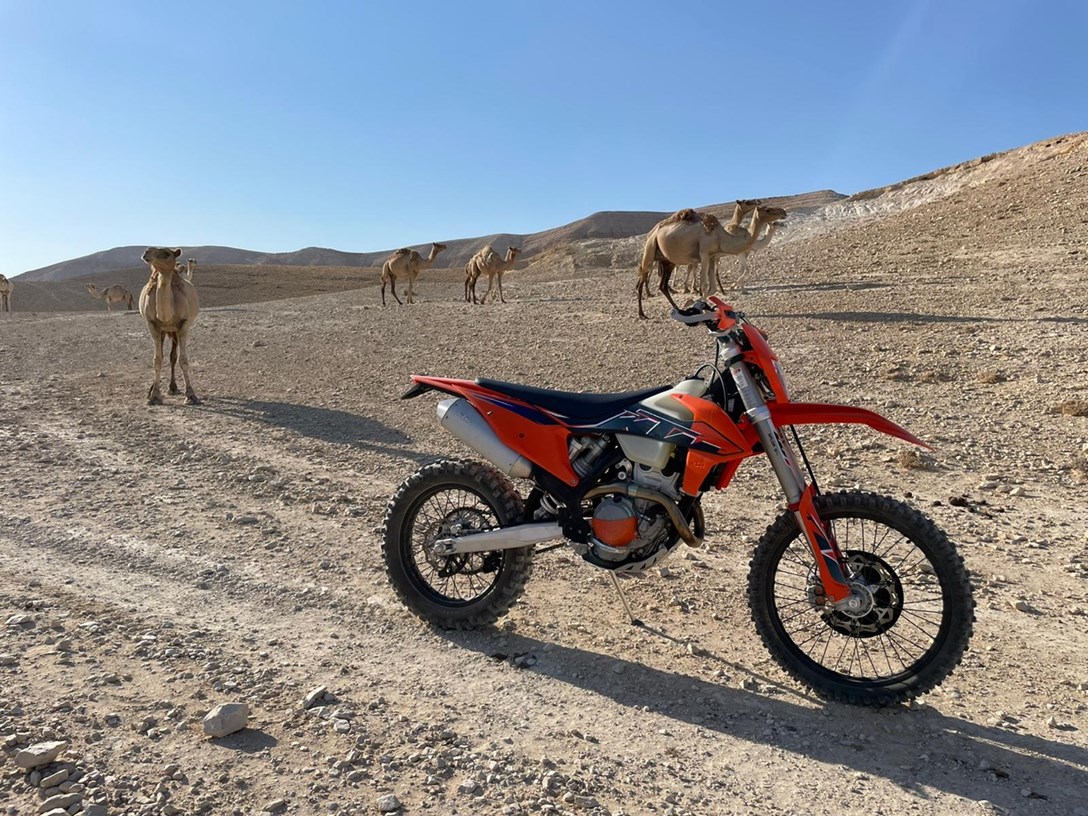 1649654-WhatsApp Image 2021-09-05 at 19.15.35 (1).jpeg