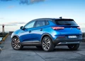 1638474-Opel-Grandland_X-2020-03.jpg