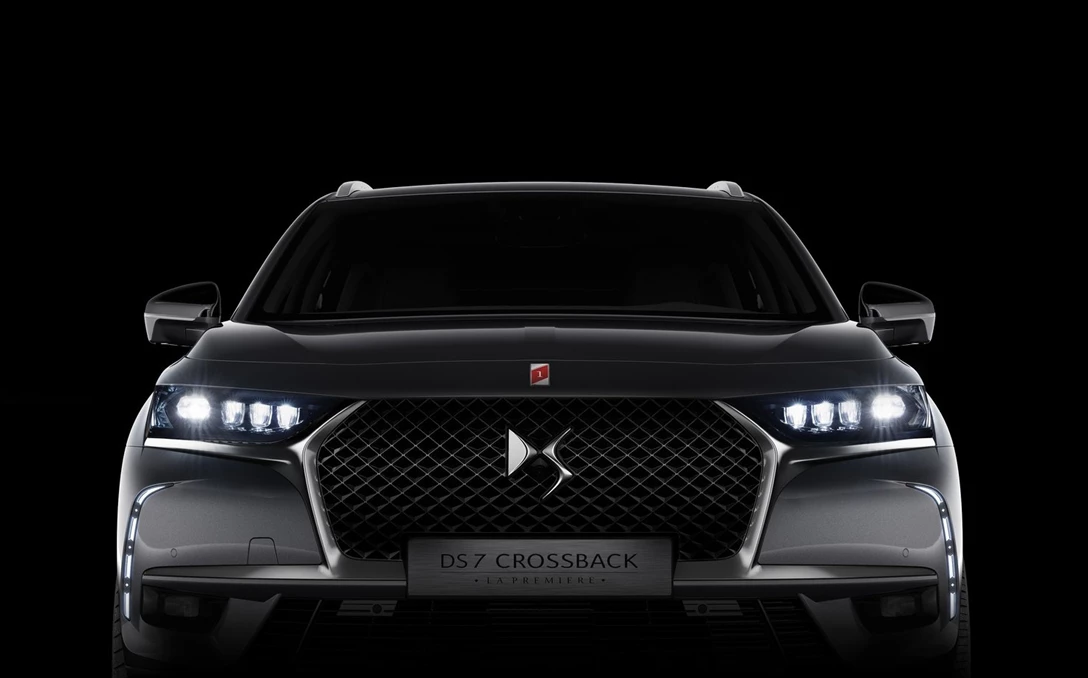 1594572-DS רוצה לגדול בישראל (1).jpg