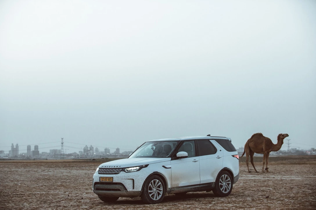 1604720-גרנד צירוקי מול דיסקו (67).jpg