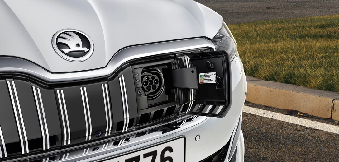 1616859-_SUPERB_iV (4).jpg