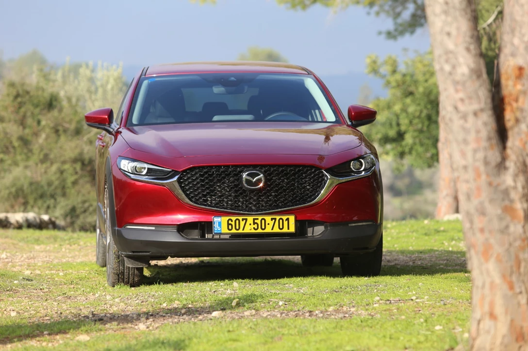 1629379-IMG_9307 - Copy.JPG