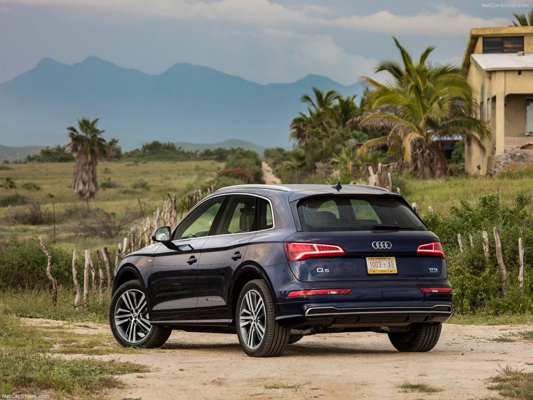 1585700-Audi-Q5 6.jpg