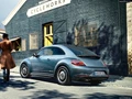 1589220-Volkswagen-Beetle 5.jpg