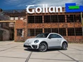 1589218-Volkswagen-Beetle 3.jpg