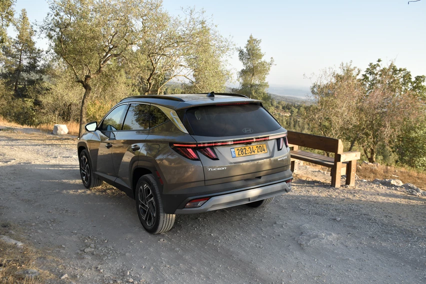 1710499-_DSC0212 (1).JPG