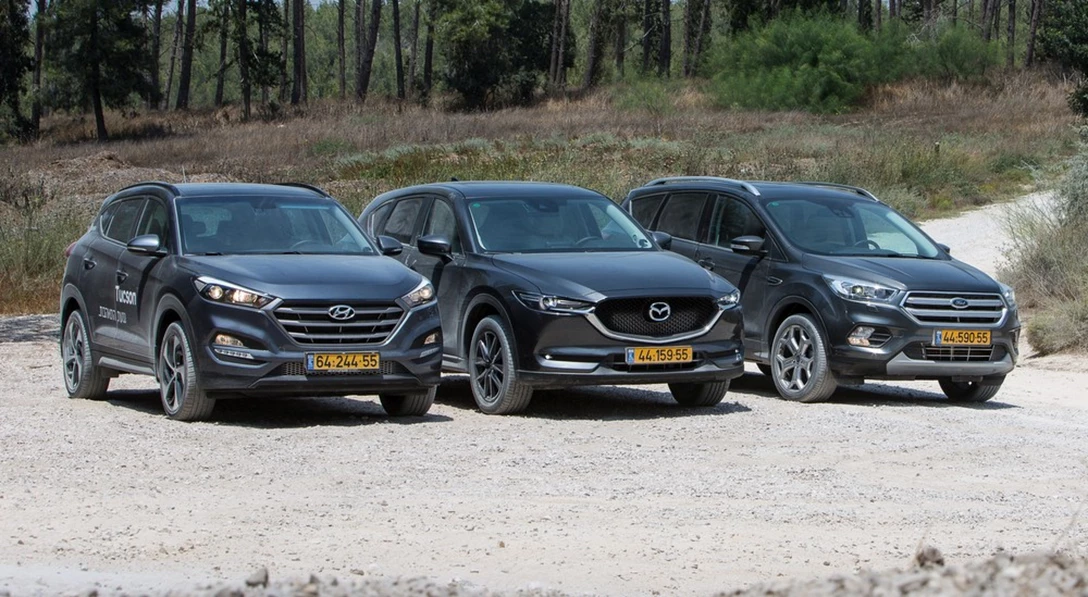 1585607-2E4B5026 crop.jpg